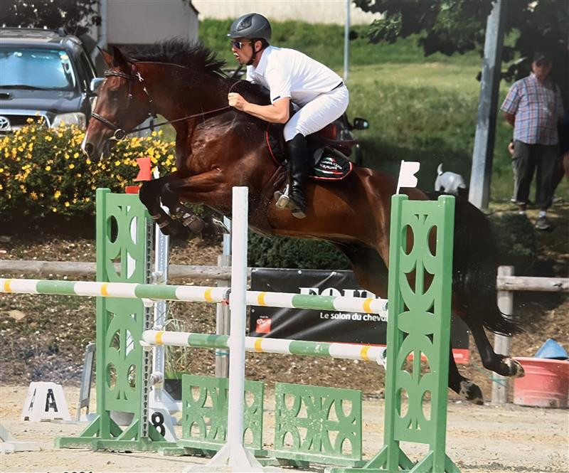 Vente de cheval : DIRIS DU POIRIER